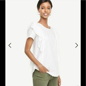 Nwot ann Taylor top